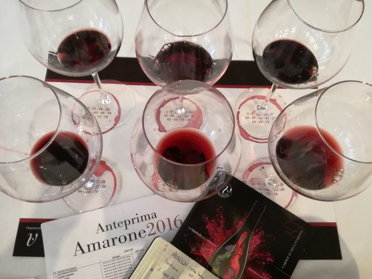 L’Amarone 2016 alla prova del calice