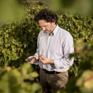 Ornellaia e Masseto, miti del vino mondiale, salutano l’enologo Axel Heinz, che torna in Francia