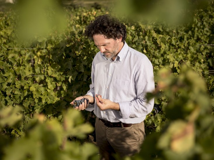 Ornellaia e Masseto, miti del vino italiano, salutano Axel Heinz