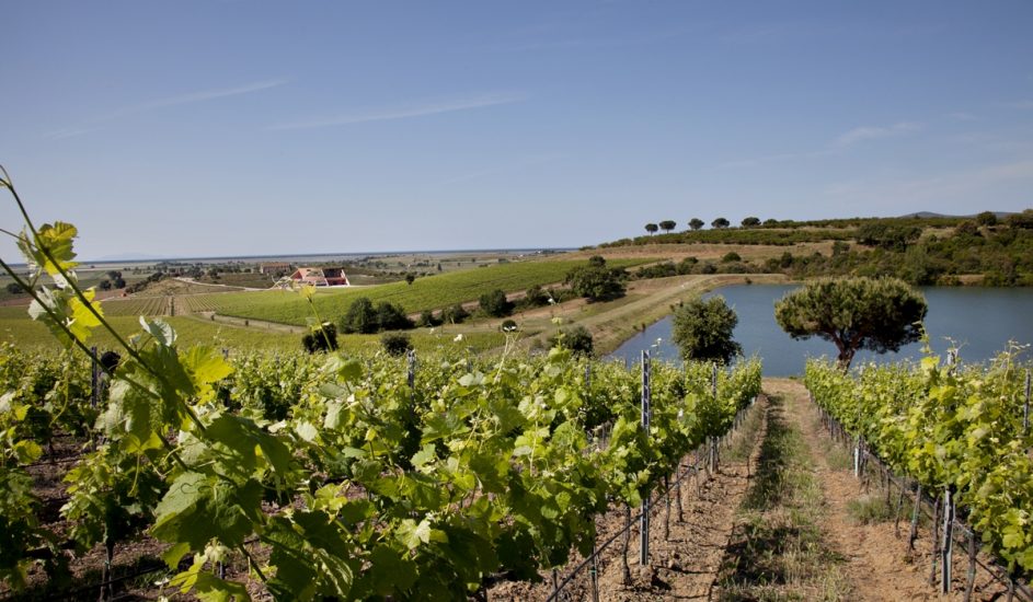 La cantina Le Mortelle