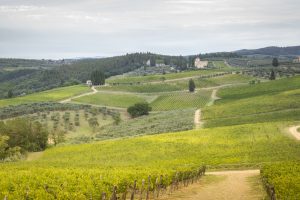 Tra la Firenze del Rinascimento e la Siena del Medioevo, il Chianti Classico Tra la Firenze del Rinascimento e la Siena del Medioevo, il Chianti Classico