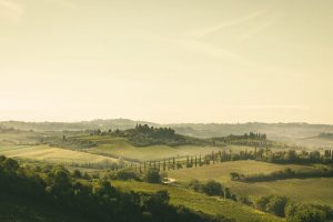 Coinvolgere tutti, e tutelare uno dei marchi top al mondo: l’obiettivo del Consorzio Igt Toscana