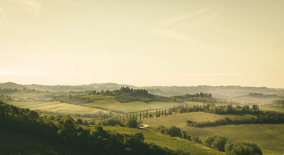La Toscana, terra di grandi Denominazioni, ma anche di una forte Igt Toscana