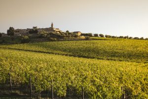 Quality, identity, territoriality, enhancement: the keys for the growth of Chianti Classico Quality, identity, territoriality, enhancement: the keys for the growth of Chianti Classico