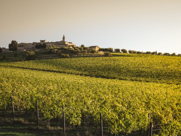 Il  Chianti Classico, uno dei territori più belli del mondo