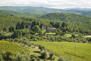 Enoturismo: le preferenze dei wine lover d’Italia, Stati Uniti, Regno Unito e Germania Enoturismo: le preferenze dei wine lover d’Italia, Stati Uniti, Regno Unito e Germania