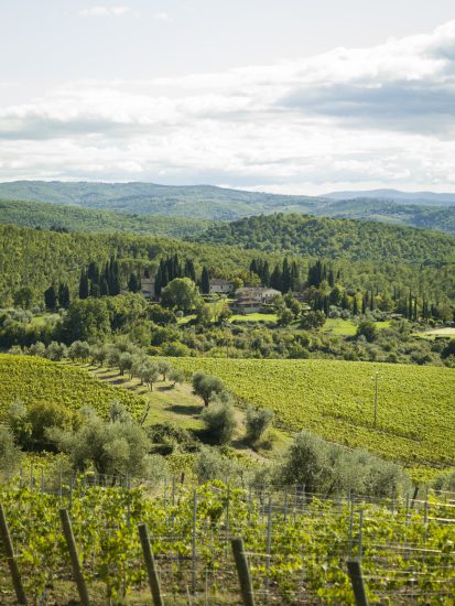 I vigneti di Toscana, nel Chianti Classico