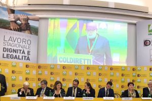 Lotta al Caporalato, in campo cinque Ministeri (Esteri, Lavoro, Interni, Giustizia, Agricoltura)