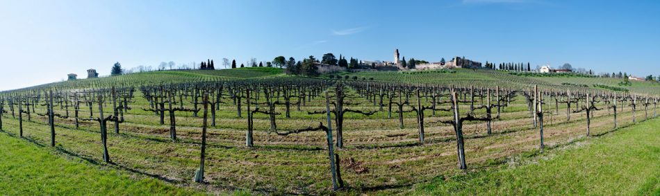 La cantina Collalto, in Veneto