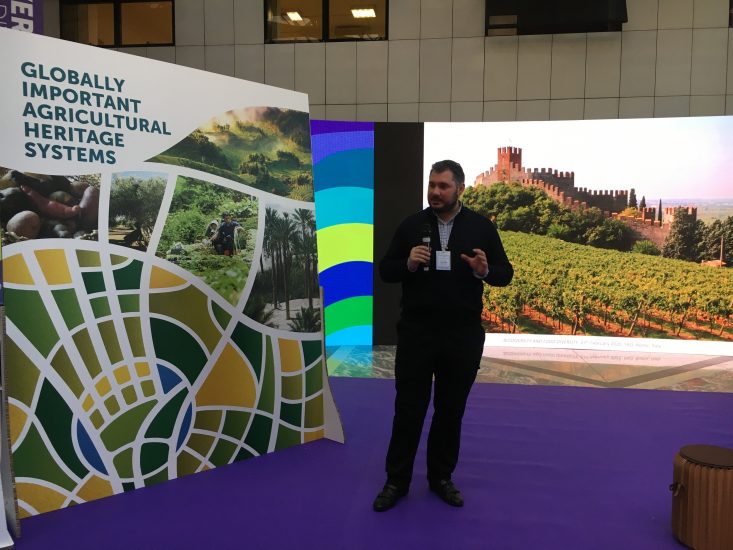 Forum sulla biodiversità della Fao, il Soave protagonista