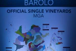 Zonazione, sempre più importante per il futuro dei territori del vino. Parola della critica Zonazione, sempre più importante per il futuro dei territori del vino. Parola della critica