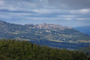 Il Brunello di Montalcino guarda al rilancio: accordo tra Consorzio e Monte dei Paschi