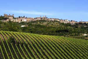 La ricchezza del vino restituita al territorio: la Fondazione Territoriale Brunello di Montalcino La ricchezza del vino restituita al territorio: la Fondazione Territoriale Brunello di Montalcino