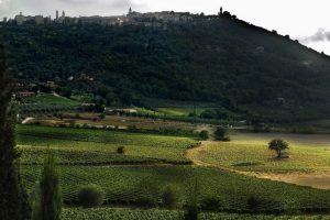 Brunello, il “prezzo” del successo? Una Fondazione lo trasforma in idee e progetti per il territorio Brunello, il “prezzo” del successo? Una Fondazione lo trasforma in idee e progetti per il territorio