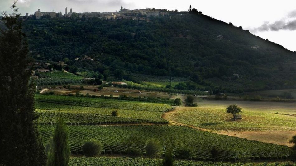 Il vino nell’arte, Lectio Magistralis di Sgarbi a Montalcino