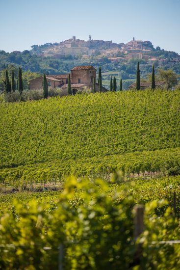 Il territorio del Vino Nobile di Montepulciano