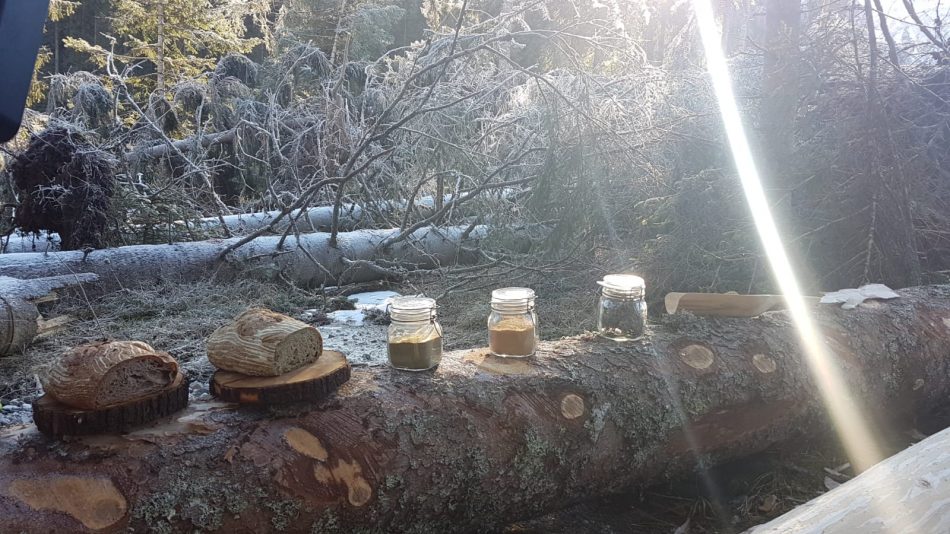  Il “pane del bosco” creato dallo chef Stefano Basello 