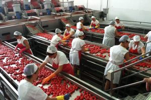 La produzione alimentare del Belpaese ingrana la marcia e cresce del 3% nel 2019