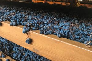 Vivino, Giuseppe Quintarelli in vetta alla top ten delle etichette italiane preferite dai wine lover