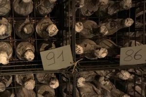 In order not to get lost among the vintages of Italy&rsquo;s top wines, the &ldquo;Vintage Chart&rdquo; by Wine Lister