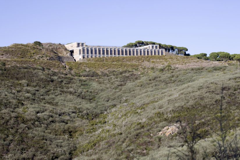 Fattoria delle Ripalte