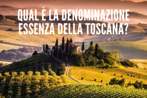 Per 1 italiano su 4 la Toscana è il territorio del vino n. 1: il sondaggio social di WineNews Per 1 italiano su 4 la Toscana è il territorio del vino n. 1: il sondaggio social di WineNews
