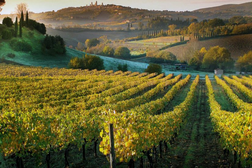 San Gimignano, tra turismo e Vernaccia 