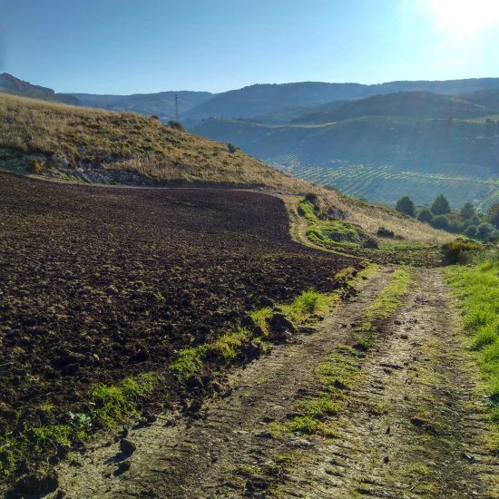 Serra Ferdinandea, la prima joint venture tra Sicilia e Francia, firmata da Planeta e Oddo