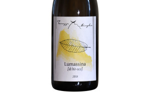 Terrazze Singhie, Colline Savonesi Igt Lumassina 2018