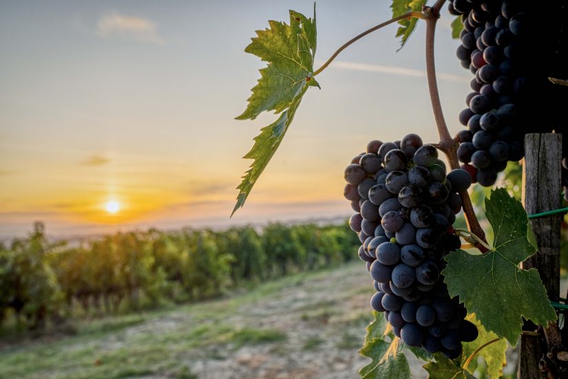 Toscana e Piemonte insieme, per raccontare il bello e il buono (Ph Martino Dini)