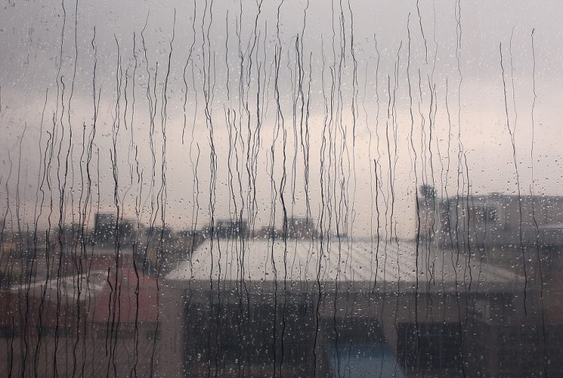 “My Window” di Jimena Croceri, nuova opera della Zenato Academy