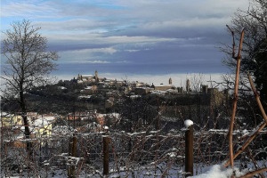 I Quaderni di WineNews - Il Brunello di Montalcino