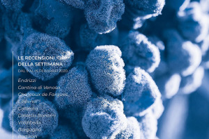 I Vini di WineNews - N. 88