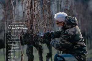 I Vini di WineNews - N. 91