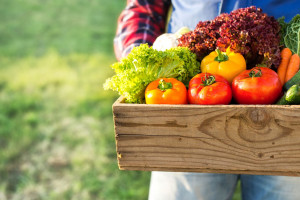 L’agroalimentare non si ferma, alimentari e supermercati aperti, ed è boom della spesa on line