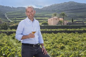 Ricerca in vigna e spinta sui mercati: il futuro della Doc Sicilia per il presidente Antonio Rallo