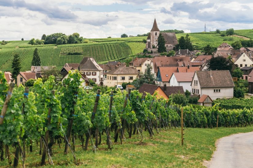 Gli iconici vigneti di Borgogna
