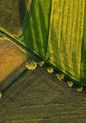 Consumi energetici, calano quelli del settore agricolo e forestale Ue: -1,1% nel 2023