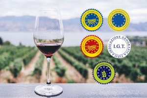 Filiera del vino, accordo Ministero - enti di certificazione per estendere le autocertificazioni