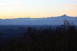 MGA un esempio per tutto il vino italiano