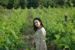 La Gerla, Monteraponi e Cavallotto: il podio della &ldquo;Top 100&rdquo; dei vini italiani by Kerin O&rsquo;Keefe