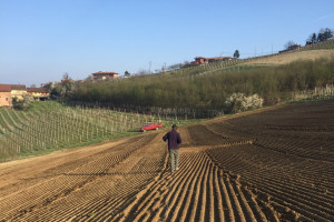 Piantare una vigna per seminare speranza. Una “scommessa sulla vita”, in un momento difficile