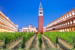 Tra taglio delle rese e promozione la filiera del vino lavora sulle misure per rispondere alla crisi