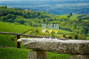 Nasce “Simposio”, il progetto per prevedere la shelf life del Soave