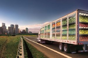 Ue: niente certificazione &ldquo;virus free&rdquo; per le merci che si spostano all&rsquo;interno del mercato europeo