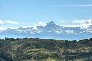 I Quanderni di WineNews - Il Barolo
