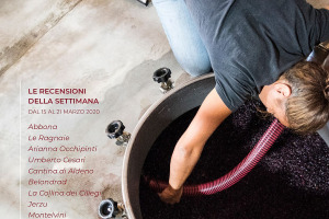 I Vini di WineNews - N. 93