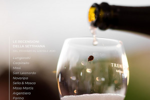 I Vini di WineNews - N. 95