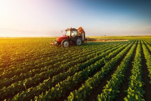 Il Veneto contro il Governo: 100 milioni di euro all’agricoltura sono briciole, servono 5 miliardi Il Veneto contro il Governo: 100 milioni di euro all’agricoltura sono briciole, servono 5 miliardi
