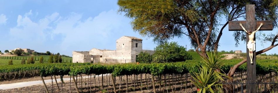 La nuova vigna di Grillo a Baglio del Cristo di Campobello